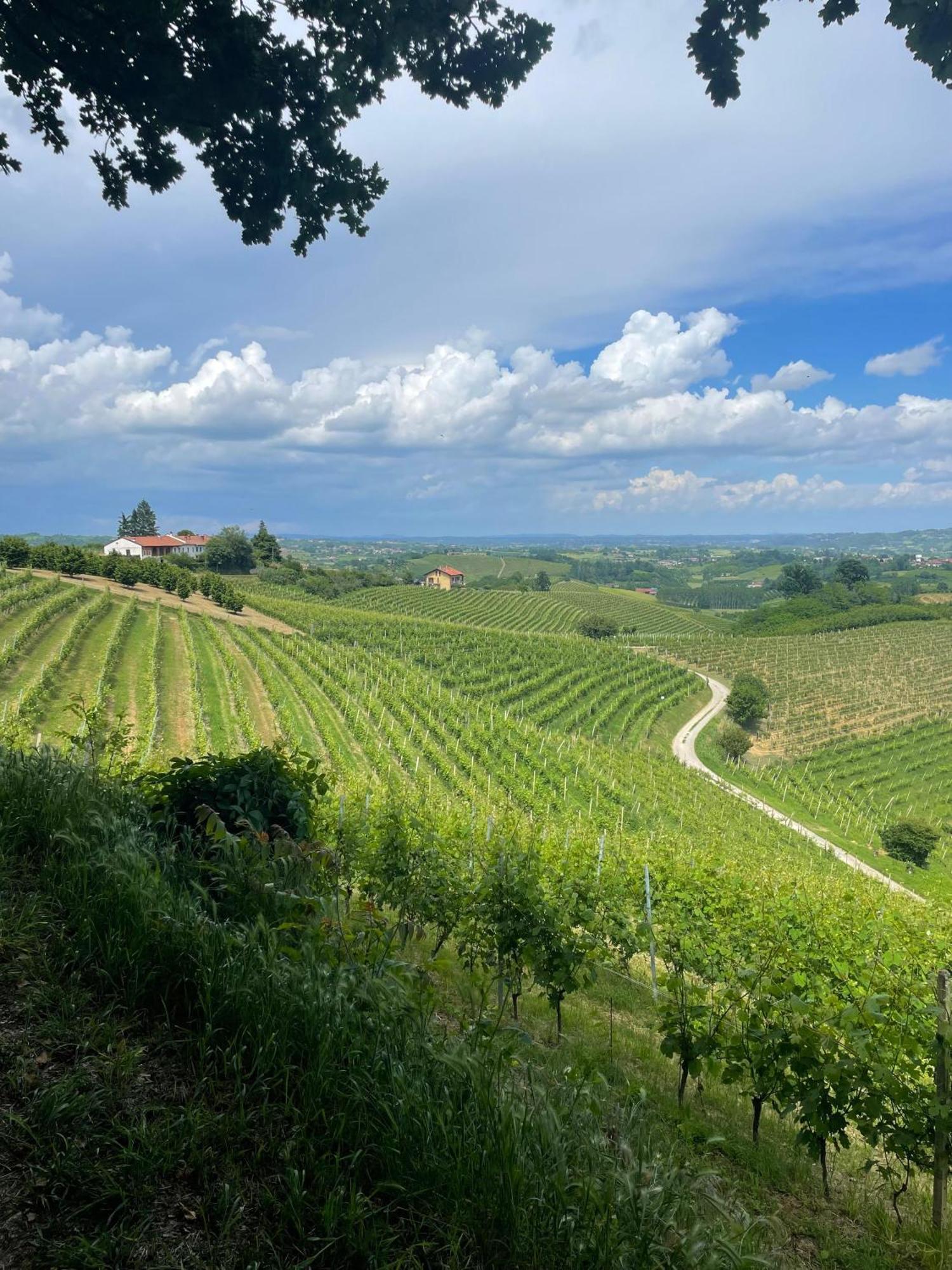 Вілла Ca' Colomba San Damiano d'Asti Екстер'єр фото